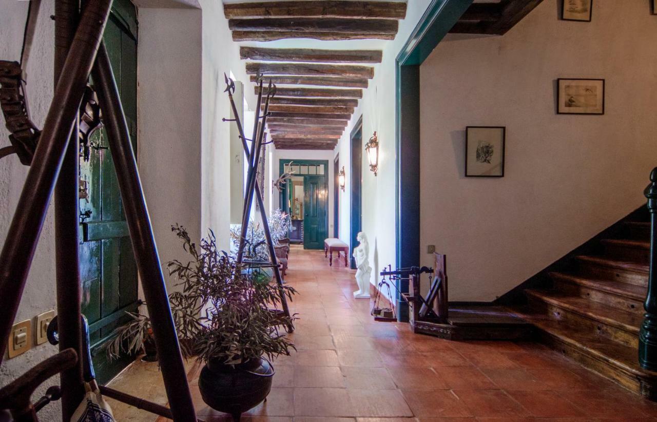 Pensjonat Quinta Do Tojal Ferreira do Zêzere Zewnętrze zdjęcie
