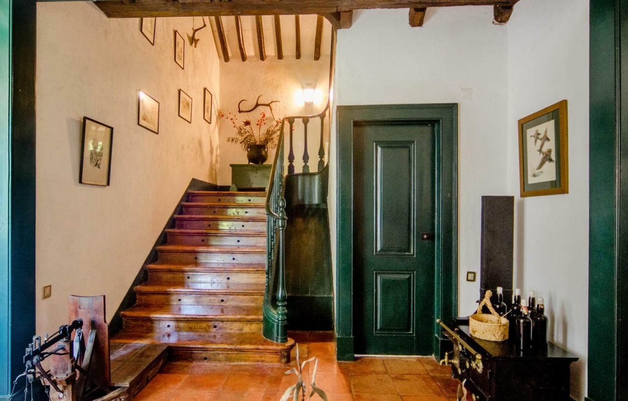 Pensjonat Quinta Do Tojal Ferreira do Zêzere Zewnętrze zdjęcie